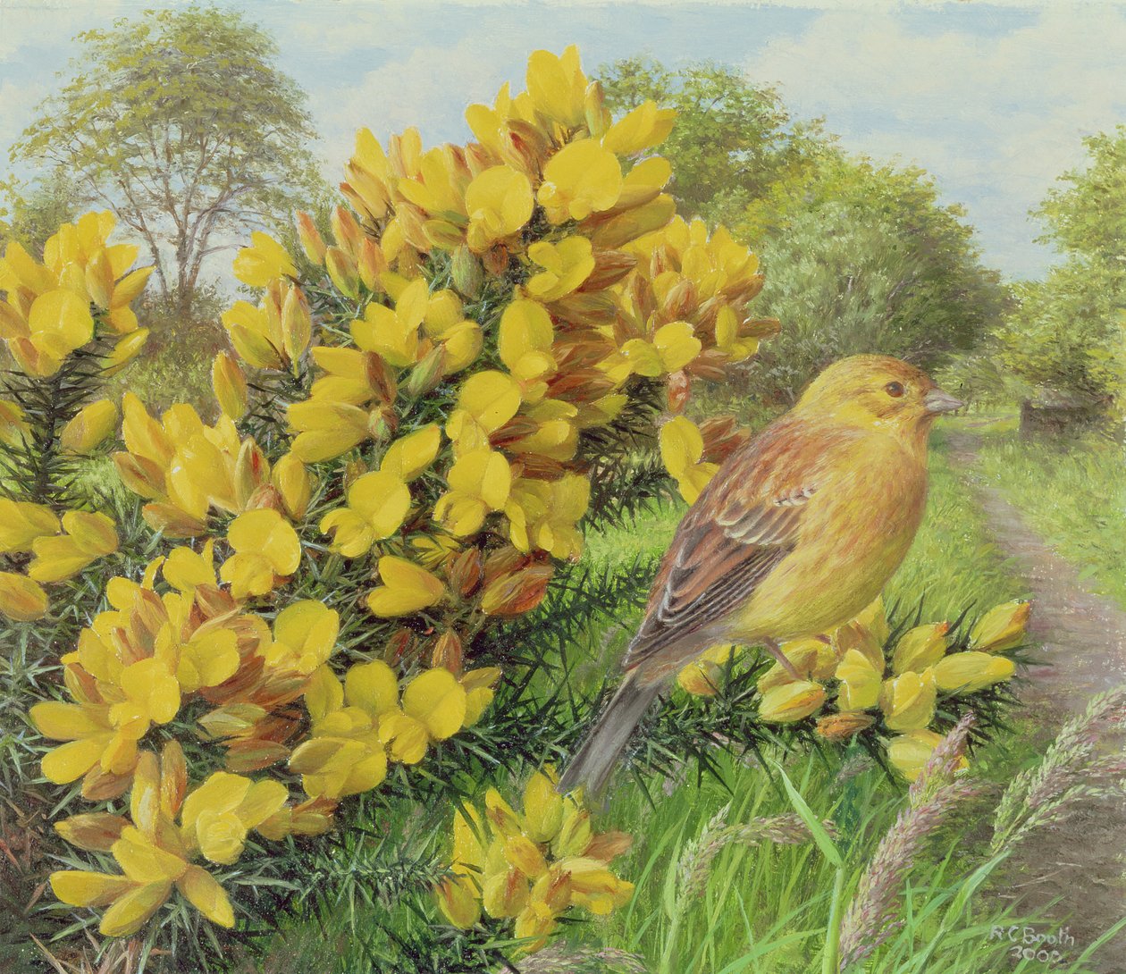 Gorse and Yellow Hammer, 2000 (olej na desce) autorstwa Raymond Booth