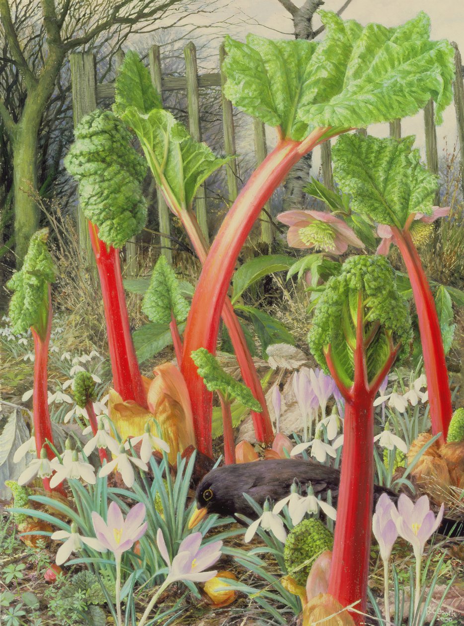 In the Rhubarb Patch, 2000 (olej na płycie) autorstwa Raymond Booth