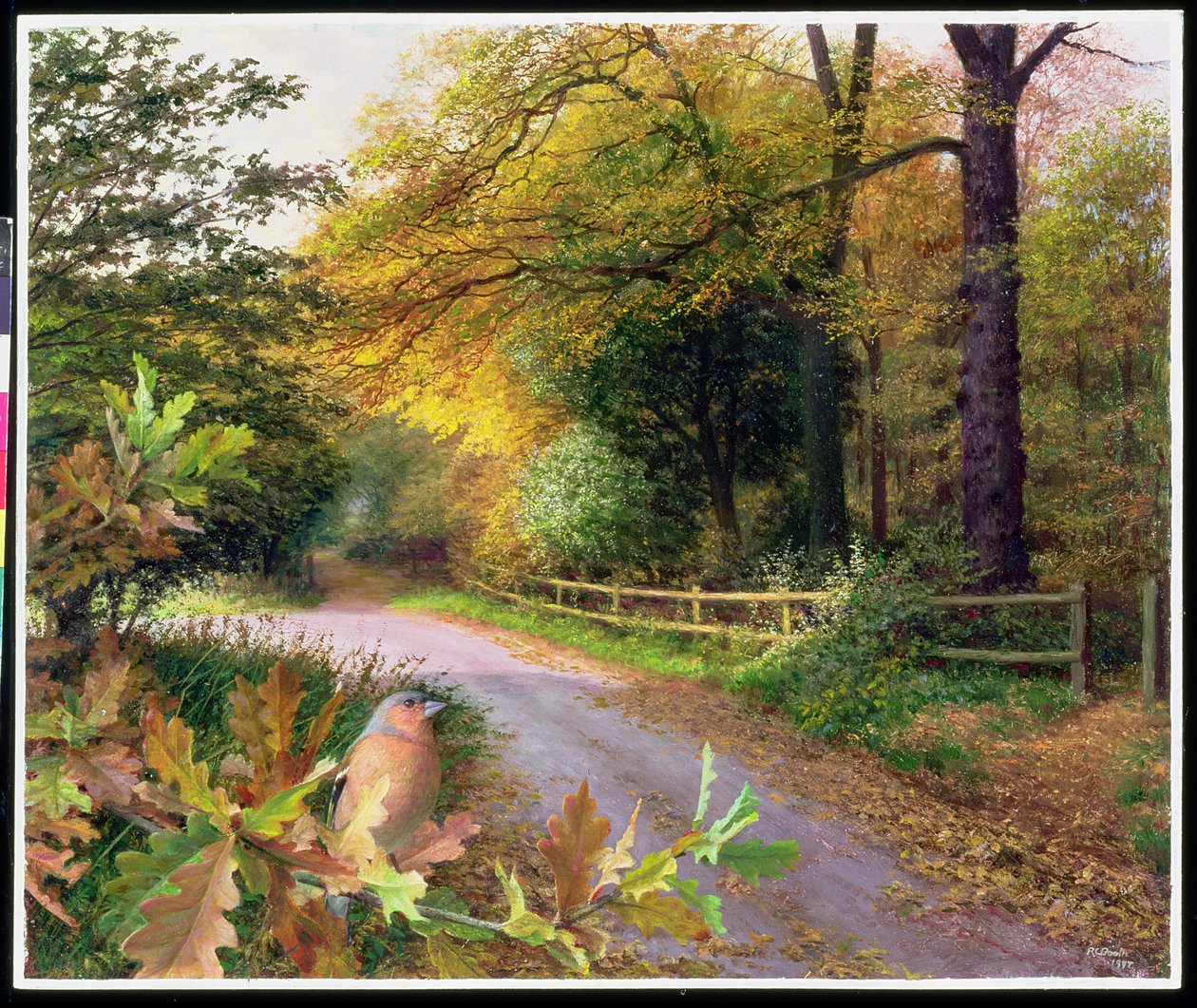 Październikowy wieczór na Crag Lane autorstwa Raymond Booth
