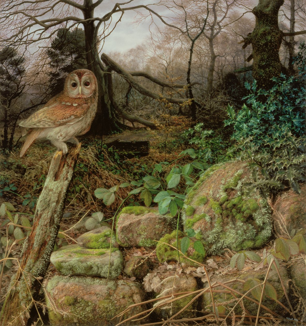 The Wild Wood - Zimowy wieczór autorstwa Raymond Booth