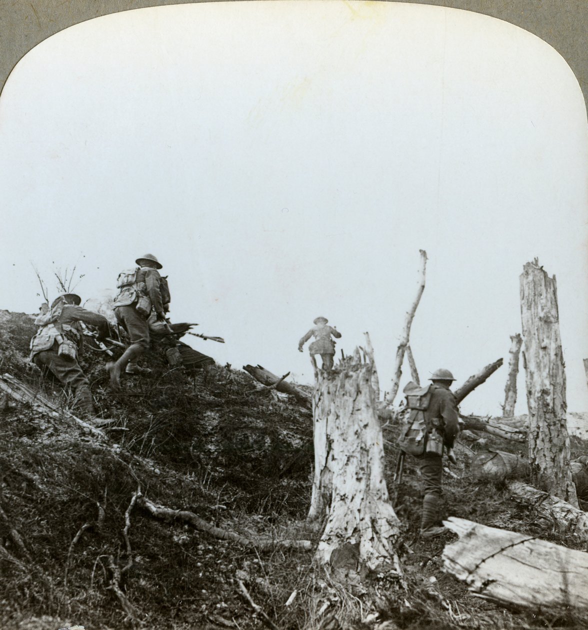 Atak w Trones Wood, Somma, Francja, I wojna światowa, 1916 autorstwa Realistic Travels Publishers
