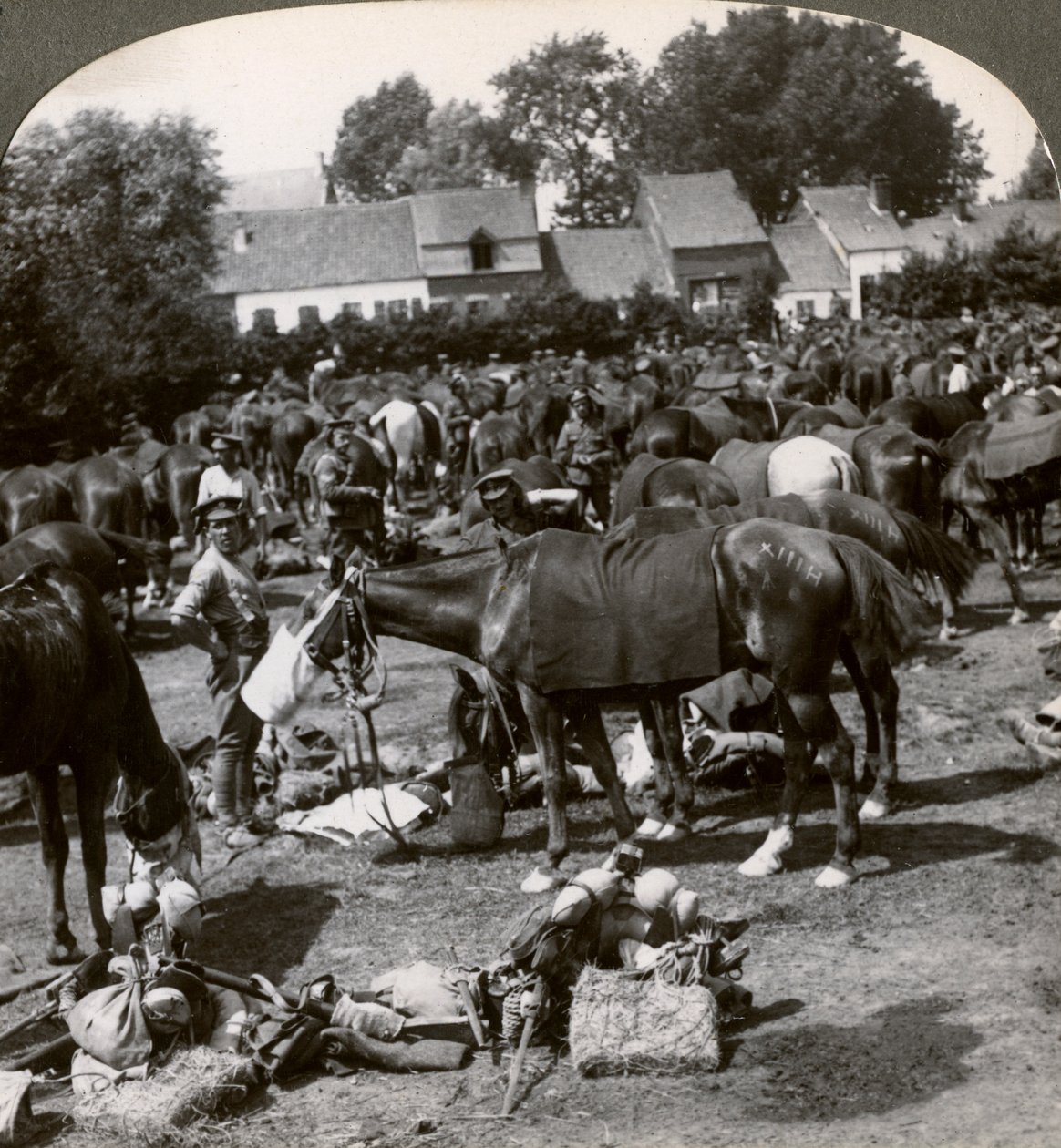 Żołnierze karmiący konie i odpoczywający w marszu, I wojna światowa, 1914-1918. autorstwa Realistic Travels Publishers