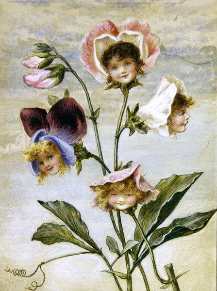 Geranium & Groszek - Kwiat Dzieci - para (akwarela i bodycolor na papierze) autorstwa Rebecca Coleman
