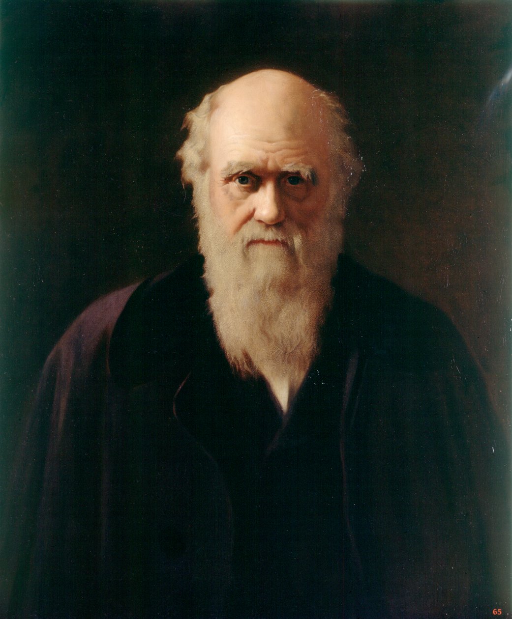 Karol Darwin (olej na pokładzie) autorstwa Reilly Reilly