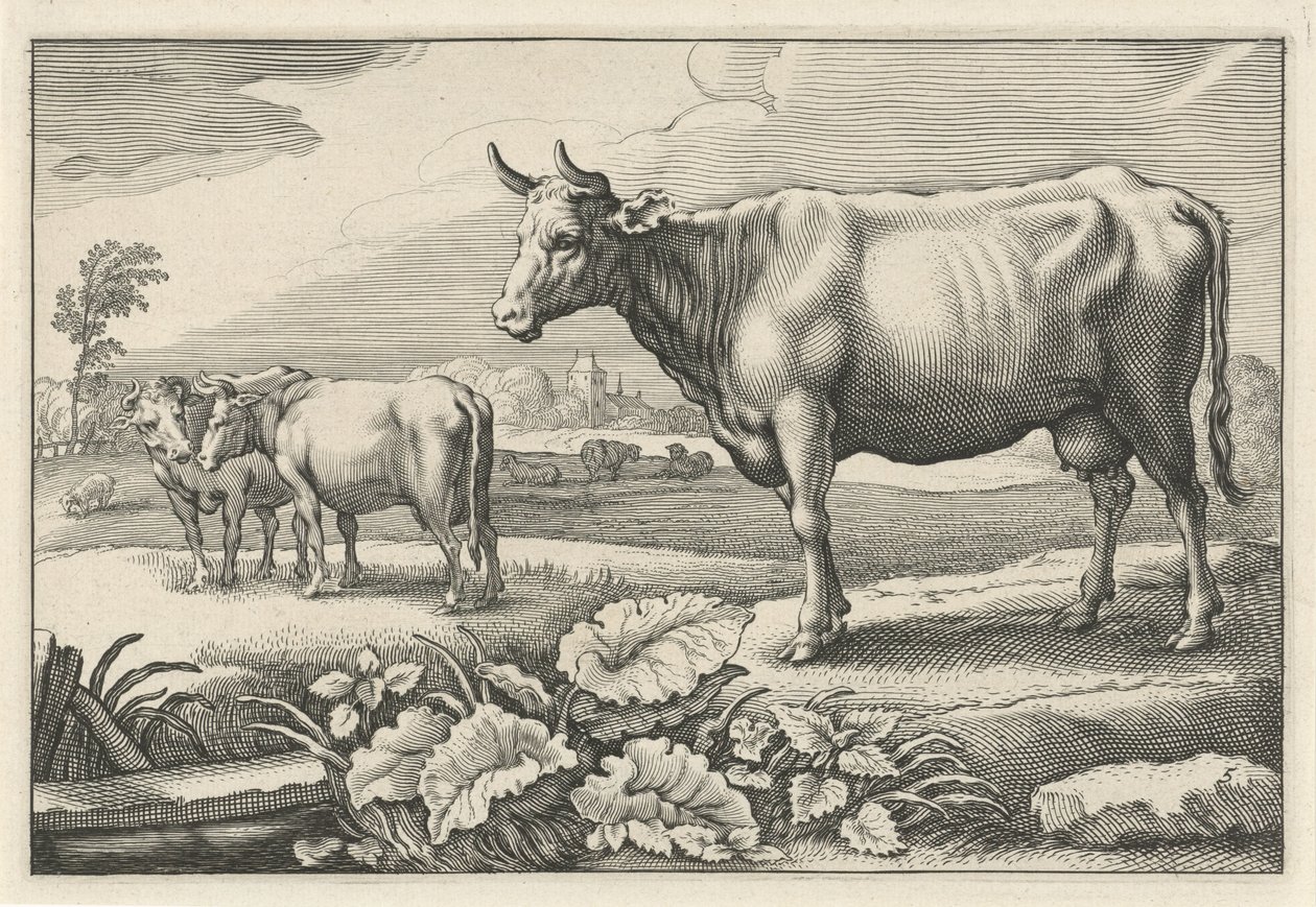 Pastwisko z krowami Diversa Animalia Quadrupedia (tytuł serii) autorstwa Reinier van Persijn