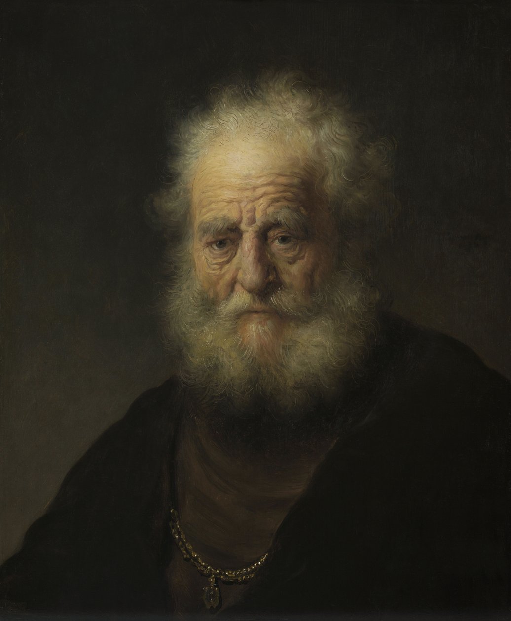Studium starego człowieka z złotym łańcuchem autorstwa Rembrandt van Rijn