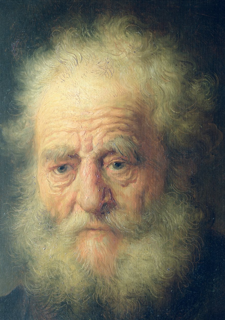 Popiersie starca ze złotym łańcuszkiem (detal) autorstwa Rembrandt van Rijn