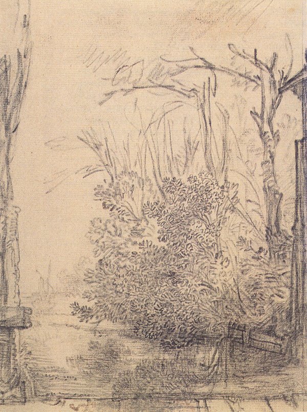 Zwisające krzaki na rowie autorstwa Rembrandt van Rijn