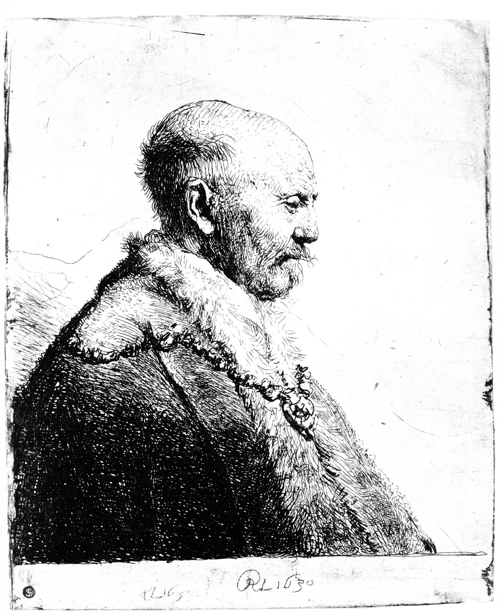 Portret łysego mężczyzny, 1630 autorstwa Rembrandt van Rijn