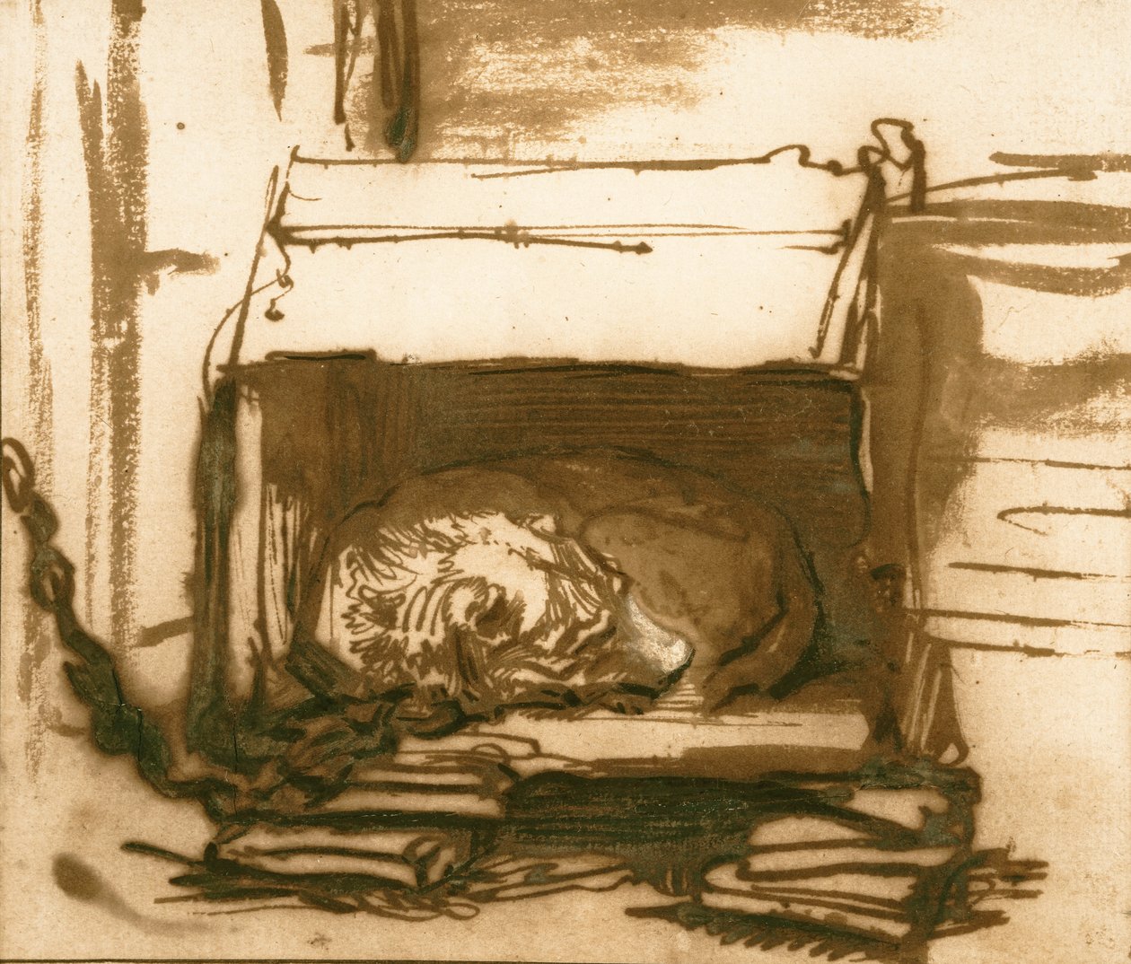 Śpiący pies stróżujący autorstwa Rembrandt van Rijn