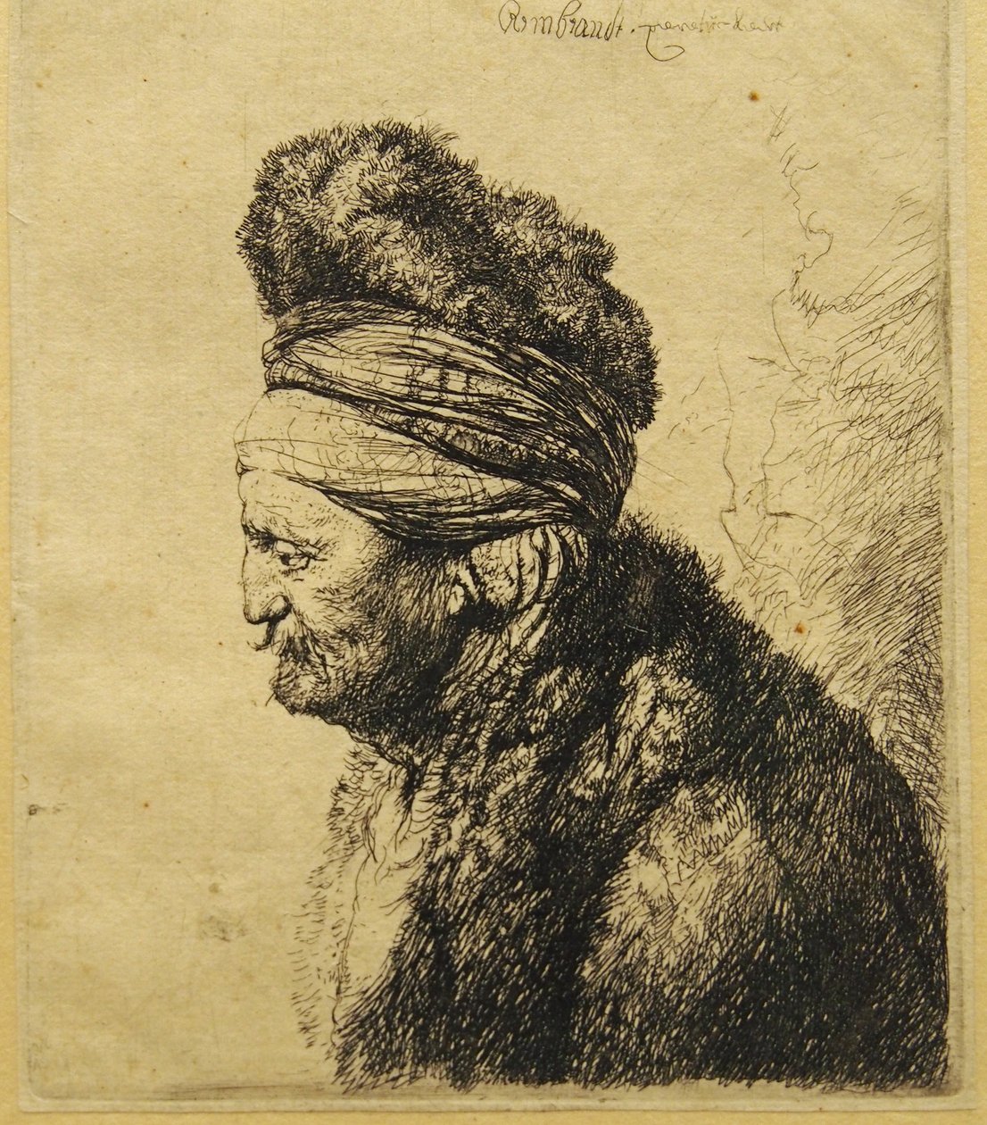 Druga Głowa Wschodu autorstwa Rembrandt van Rijn