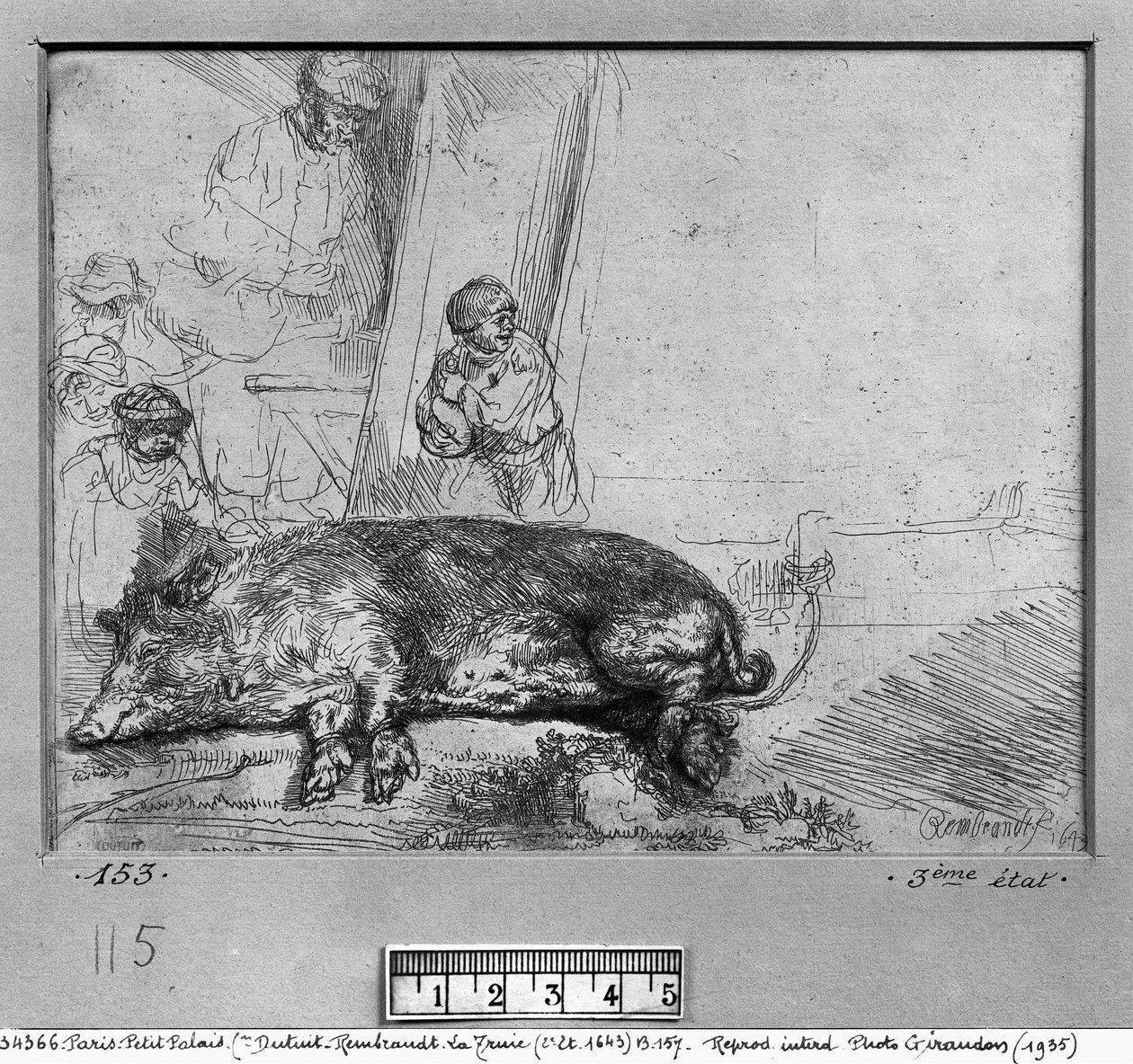 Maciory, 1643 autorstwa Rembrandt van Rijn