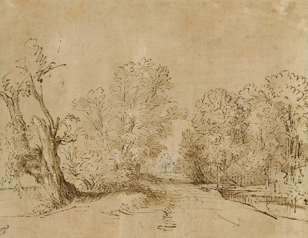 Zalesiona droga autorstwa Rembrandt van Rijn