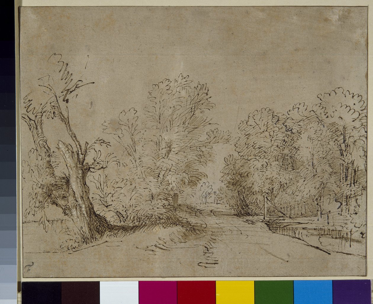 Zalesiona droga, ok. 1650 (pióro i atrament na papierze) autorstwa Rembrandt Harmensz. van Rijn