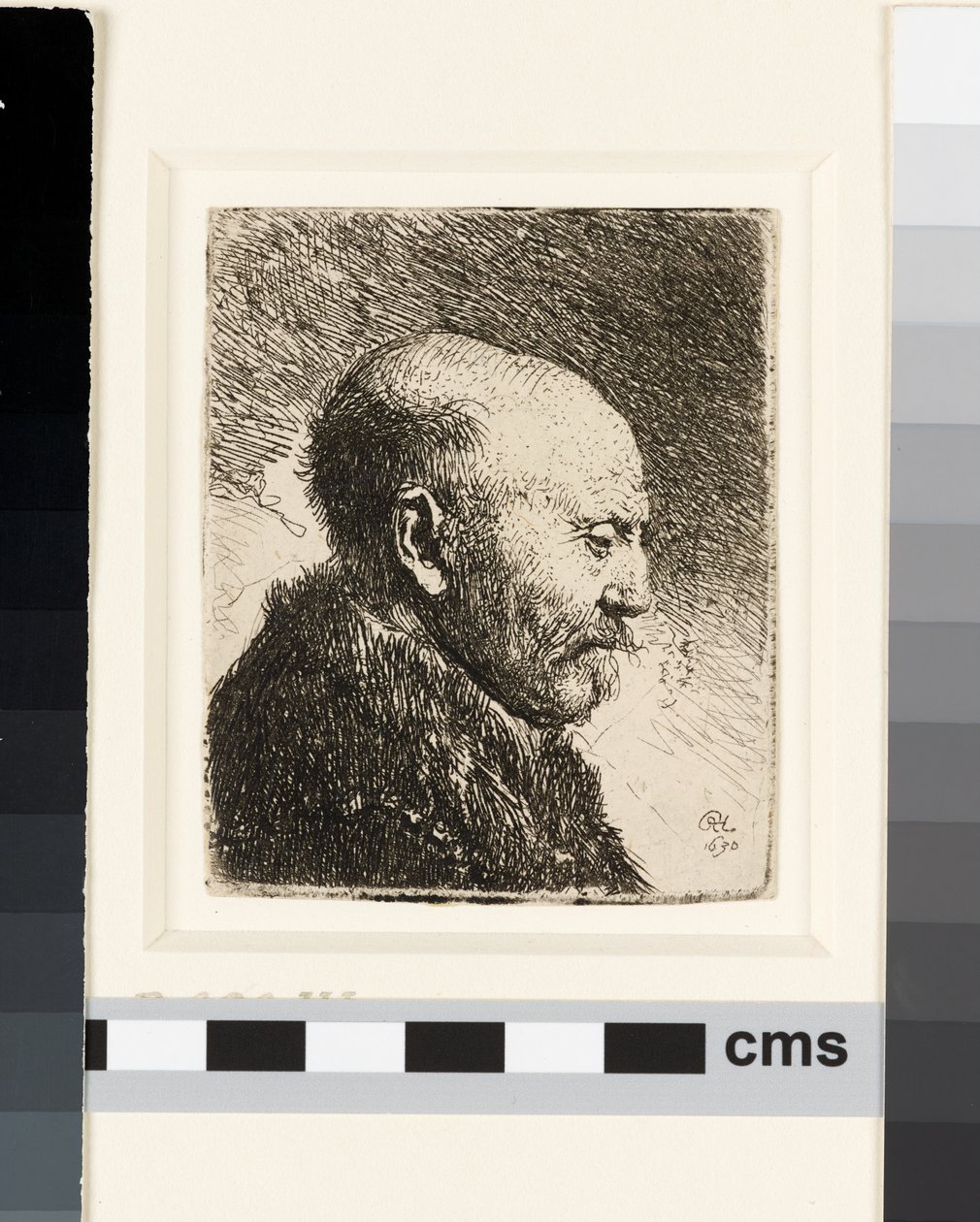 Łysy mężczyzna z profilu po prawej: ojciec Rembrandta? autorstwa Rembrandt van Rijn