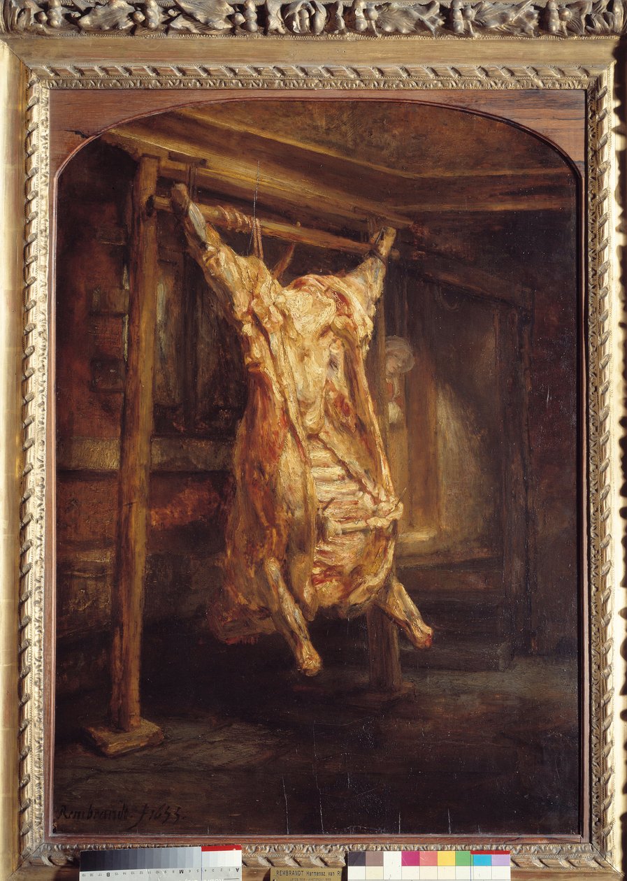 Kora wołowa Tusza wołowa osobno. Obraz Harmensza Van Rijna Rembrandta (1606-1669) autorstwa Rembrandt van Rijn