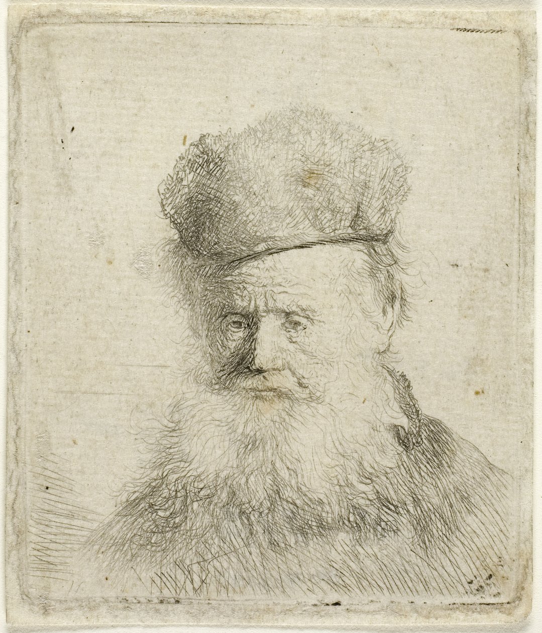 Popiersie starca w futrzanej czapce i powiewającej brodzie, ok. 1631 r. (akwaforta na papierze) autorstwa Rembrandt Harmensz. van Rijn