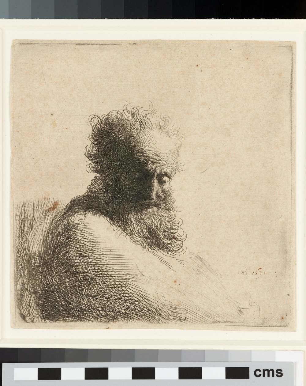 Popiersie starego brodatego mężczyzny, patrzącego w dół, trzy czwarte w prawo autorstwa Rembrandt Harmensz. van Rijn