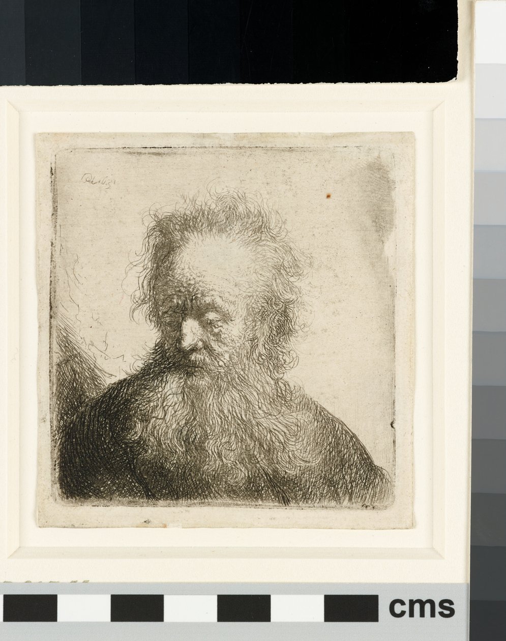Staruszek z falującą brodą: biust autorstwa Rembrandt van Rijn