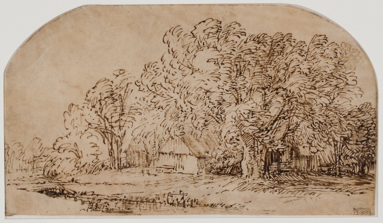 Podmuch wiatru autorstwa Rembrandt van Rijn