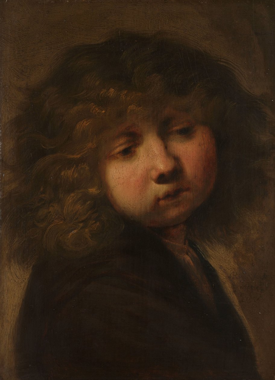 Głowa chłopca autorstwa Rembrandt van Rijn (circle of)