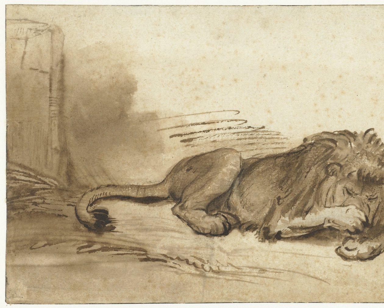 Leżący lew z przednią łapą nad pyskiem autorstwa Rembrandt van Rijn (school of)