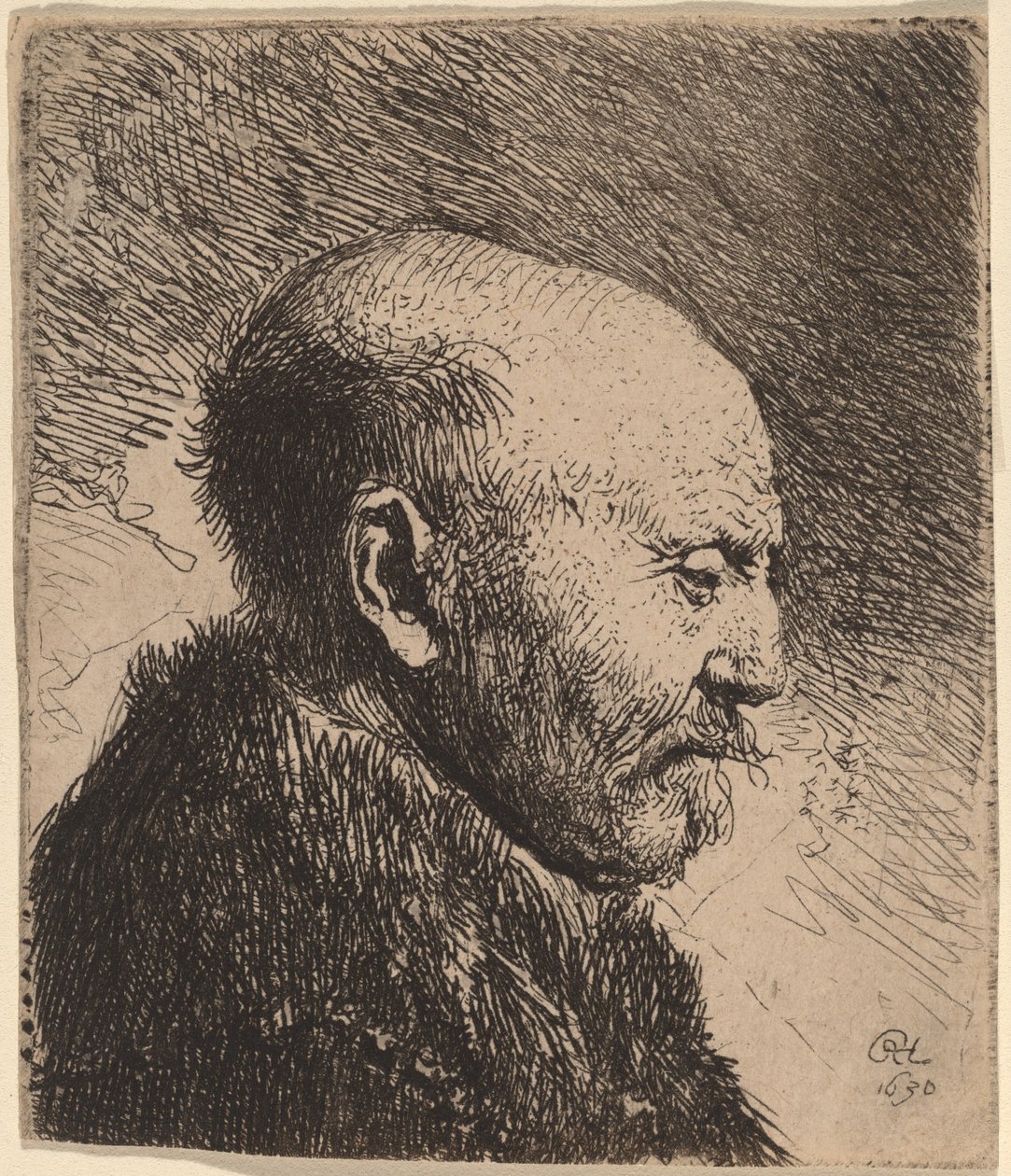 Łysy mężczyzna z profilu (ojciec artysty?) autorstwa Rembrandt van Rijn
