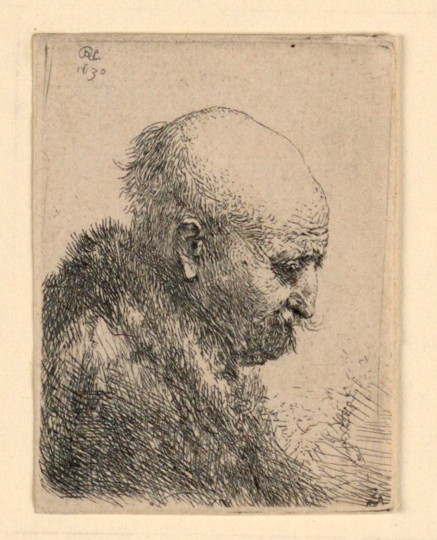 Łysy mężczyzna w profilu po prawej: mały biust; Ojciec Artysty? autorstwa Rembrandt van Rijn
