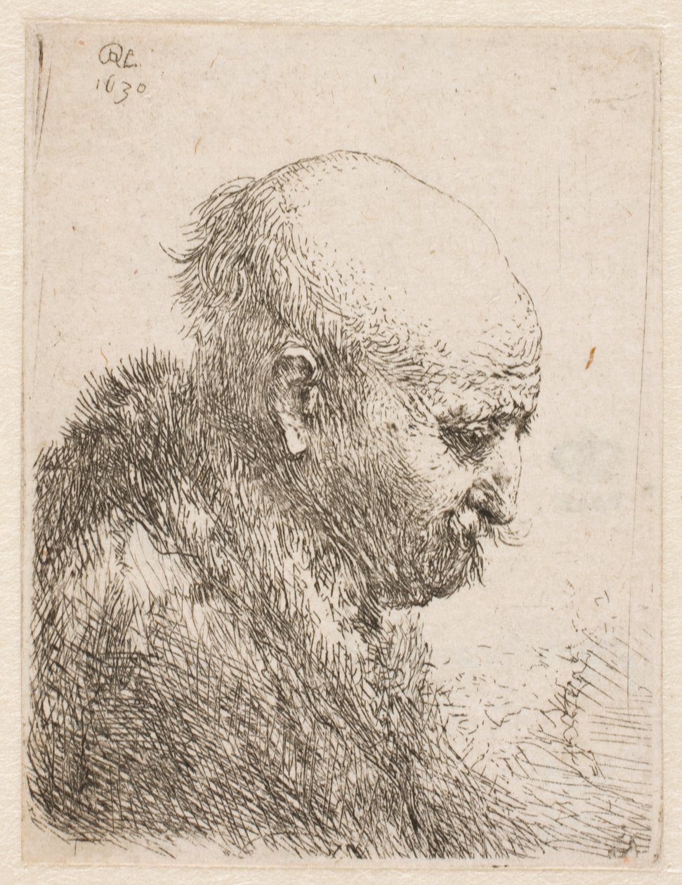 Łysy mężczyzna (ojciec Rembrandta) w profilu z prawej strony; niewielkie popiersie autorstwa Rembrandt van Rijn