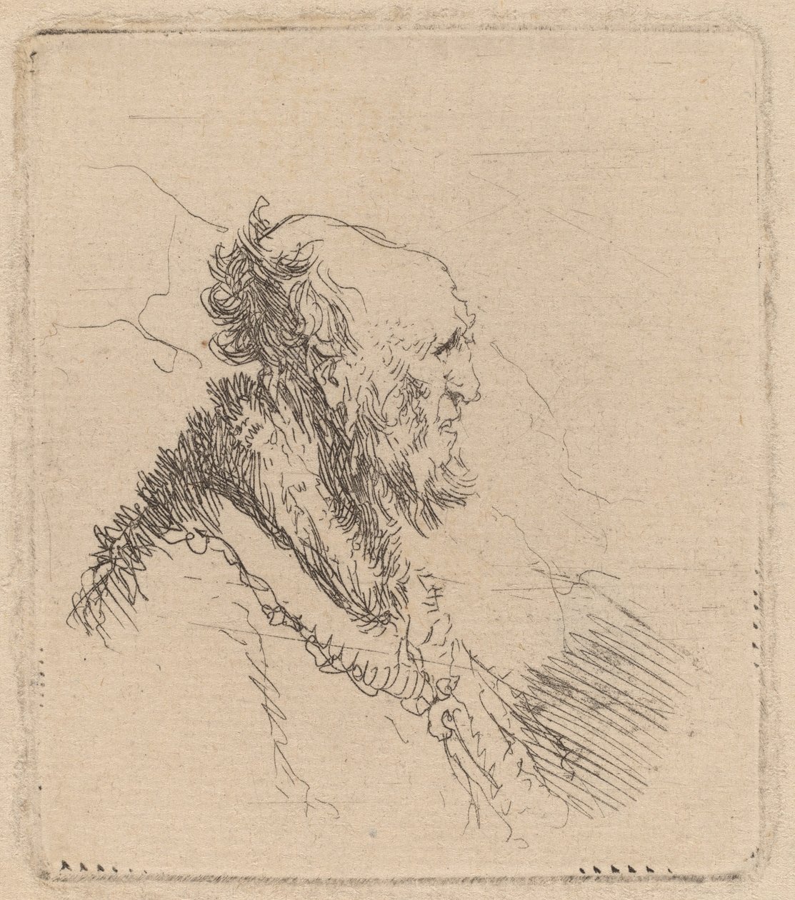 Łysy starzec z krótką brodą w profilu autorstwa Rembrandt van Rijn