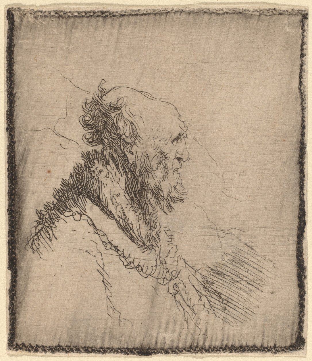 Łysy starzec z krótką brodą w profilu autorstwa Rembrandt van Rijn