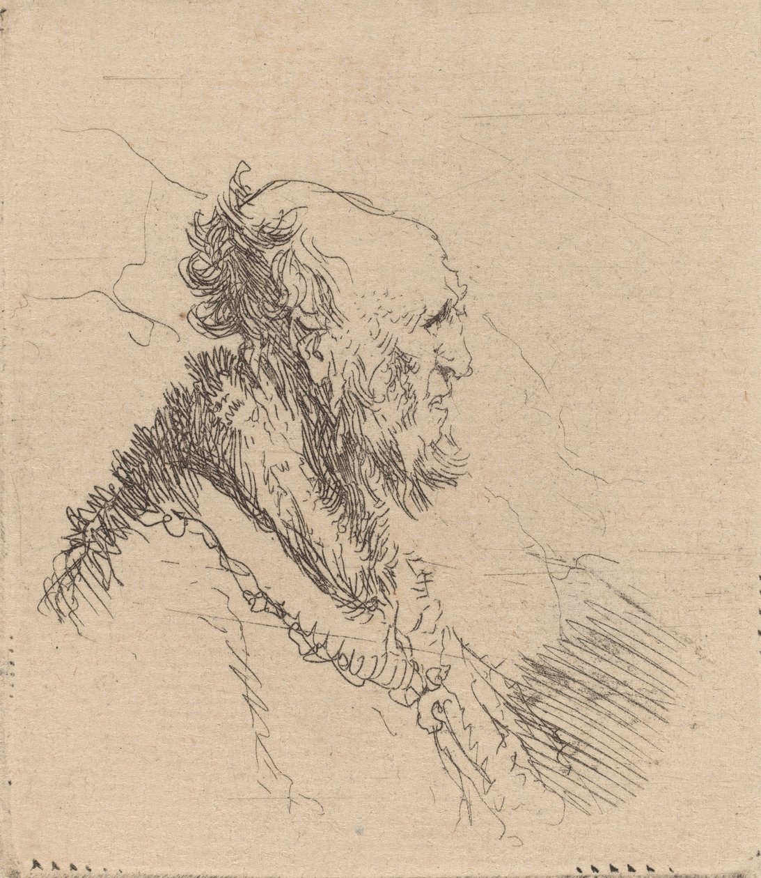 Łysy starzec z krótką brodą z profilu, ok. 1930 r. 1635. autorstwa Rembrandt van Rijn
