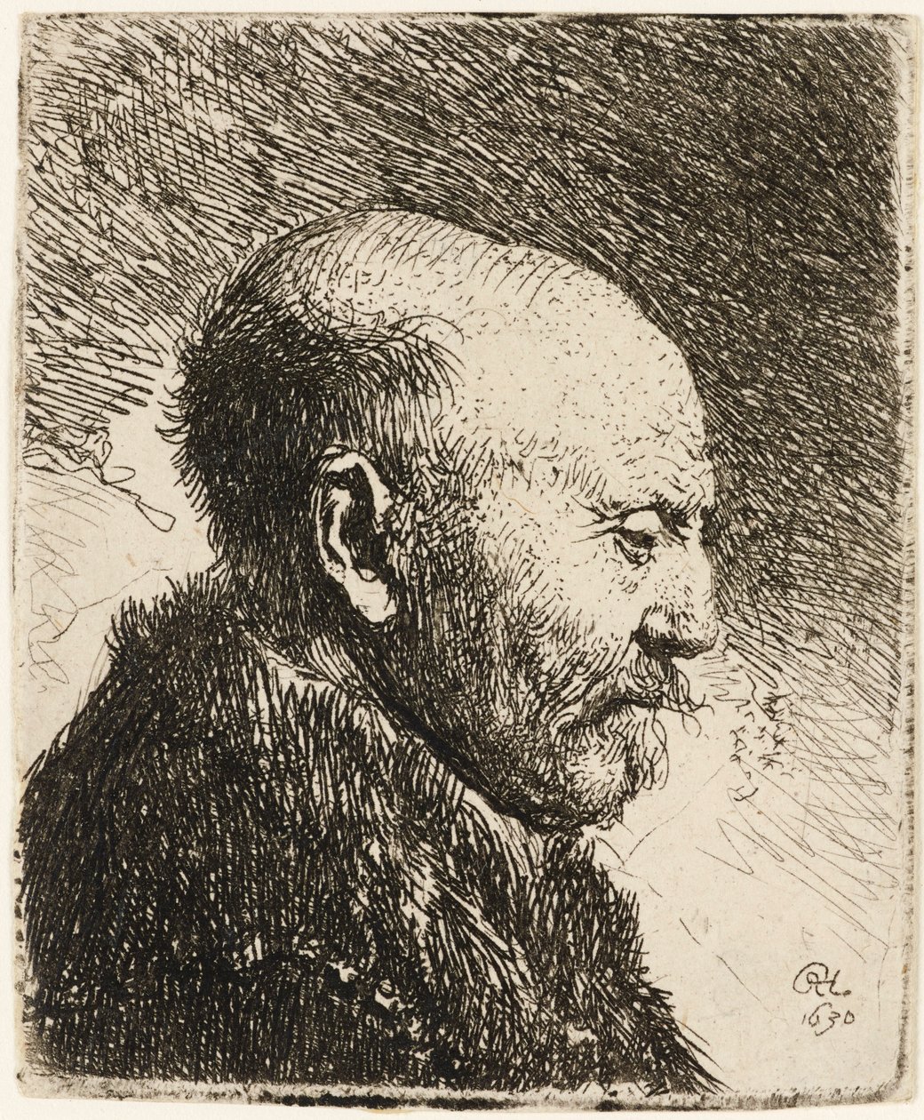 Łysy mężczyzna z profilu po prawej: ojciec Rembrandta 1630. autorstwa Rembrandt van Rijn