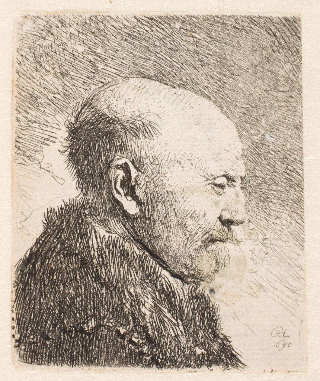Łysy mężczyzna z profilu (ojciec Rembrandta?) autorstwa Rembrandt van Rijn