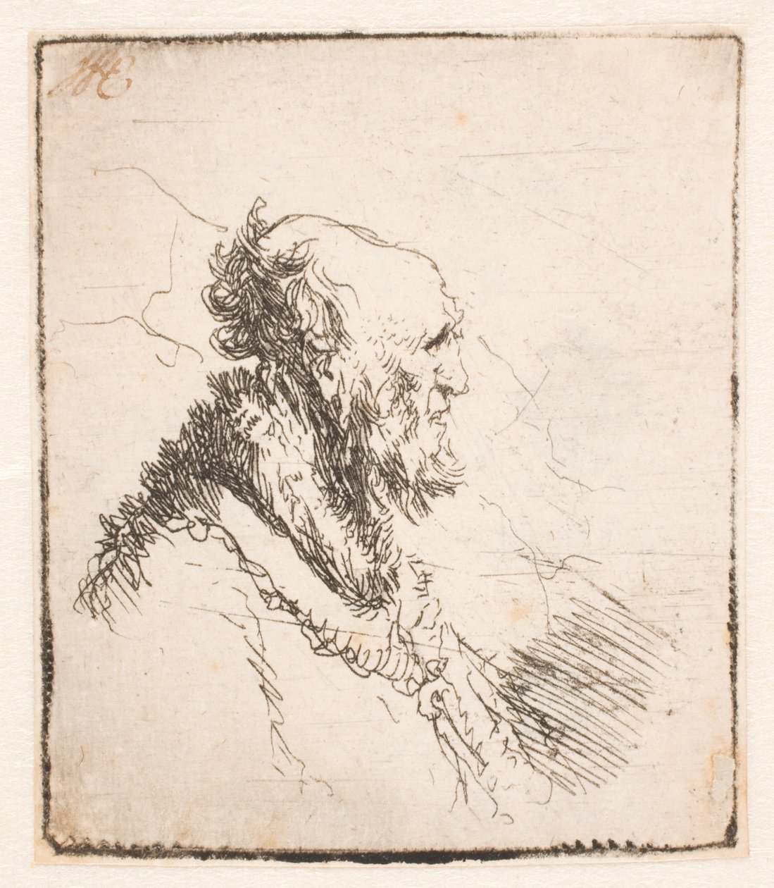 Łysy starzec z krótką brodą, z profilu po prawej autorstwa Rembrandt van Rijn