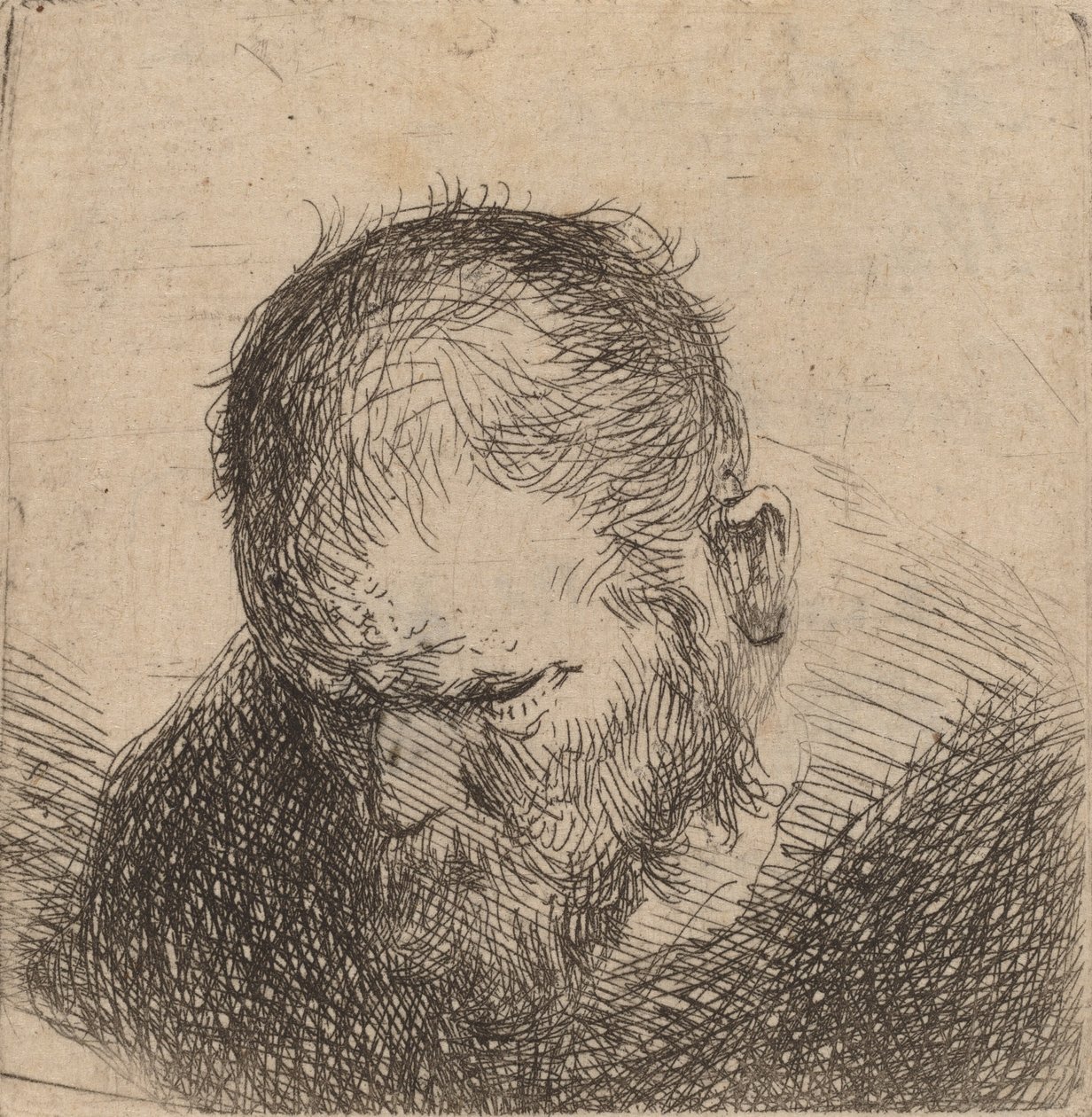 Brodaty mężczyzna patrzący w dół, prawdopodobnie 1631. autorstwa Rembrandt van Rijn