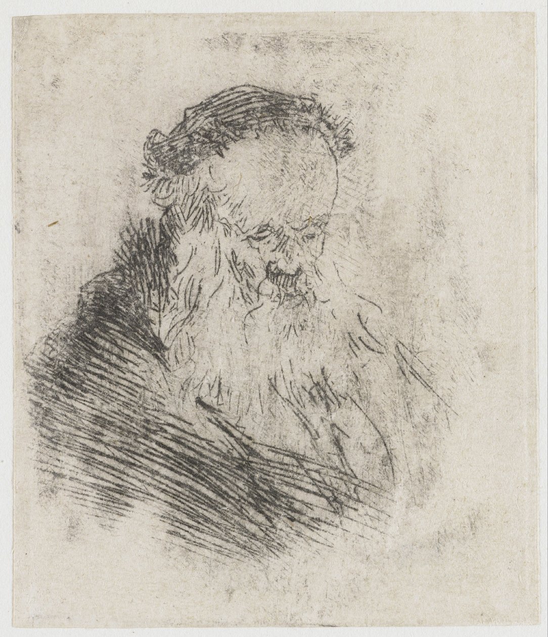 Brodaty starzec z wysokim czołem autorstwa Rembrandt van Rijn