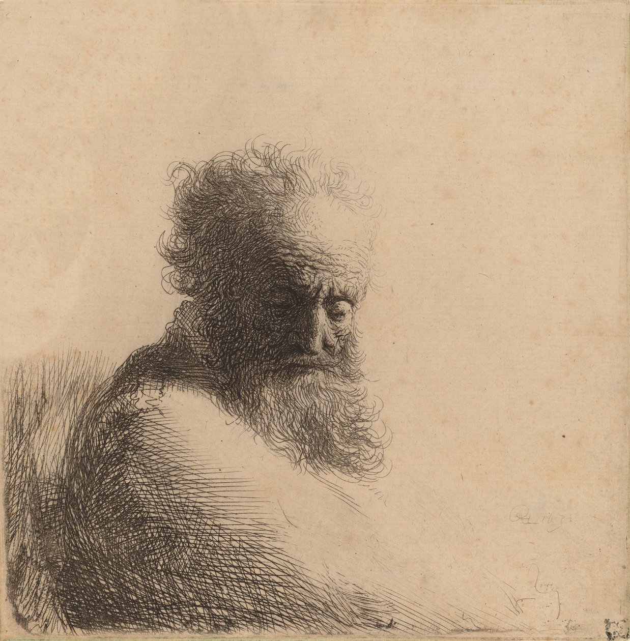 Popiersie starego brodatego mężczyzny, patrzącego w dół, trzy czwarte w prawo, 1631. autorstwa Rembrandt van Rijn