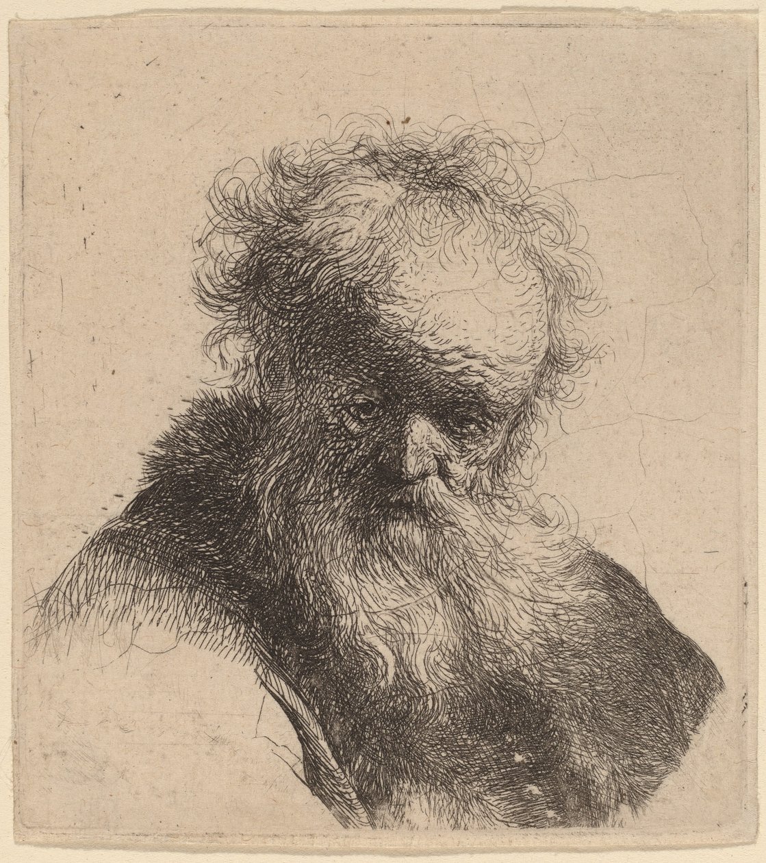 Popiersie starca z rozwianą brodą i białym rękawem autorstwa Rembrandt van Rijn