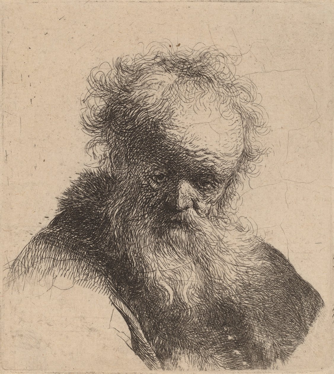 Popiersie starca z rozwianą brodą i białym rękawem, ok. 1900 r. 1630. autorstwa Rembrandt van Rijn