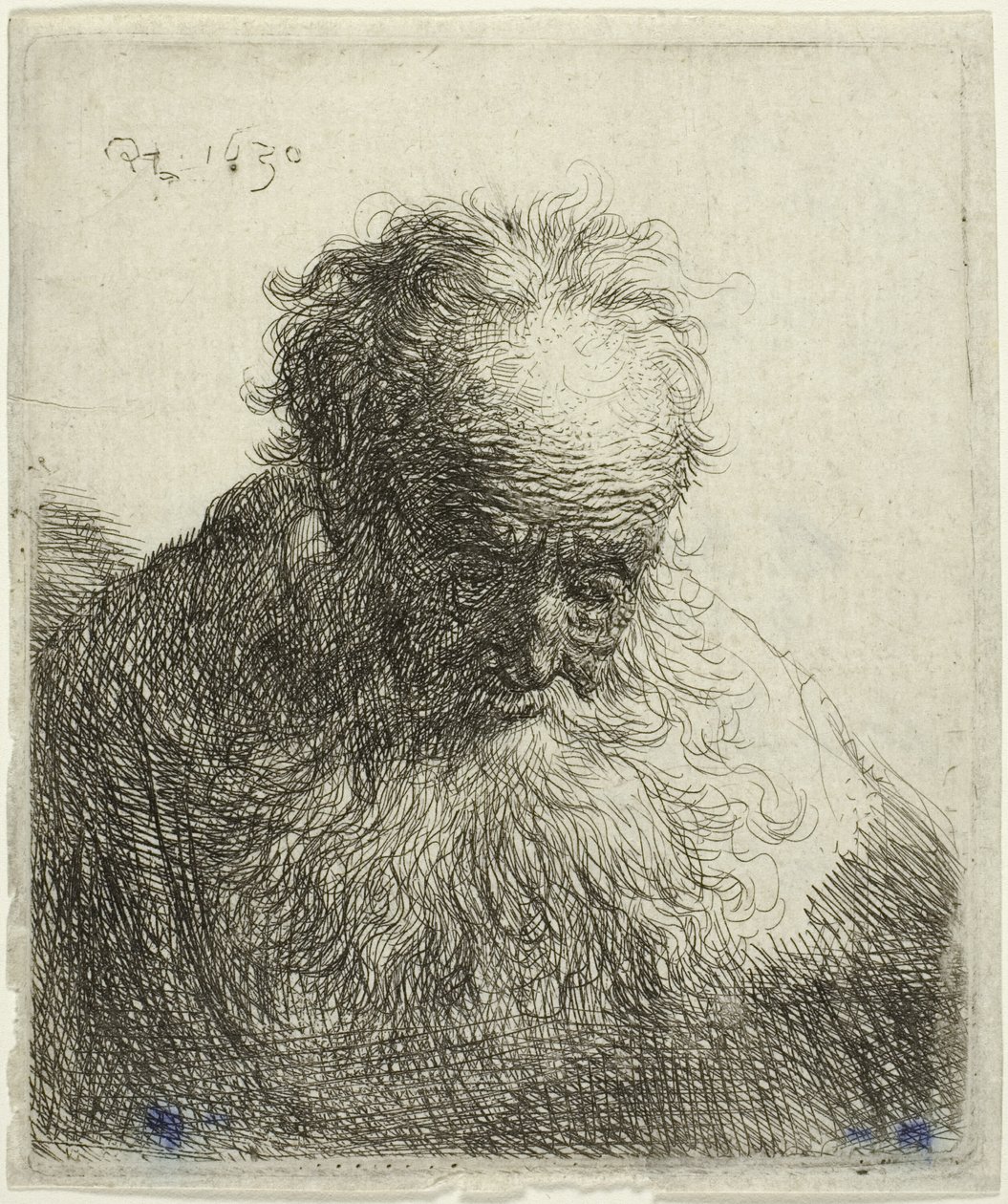 Popiersie starszego mężczyzny z bujną brodą: Głowa pochylona do przodu: Lewe ramię niezacienione autorstwa Rembrandt van Rijn