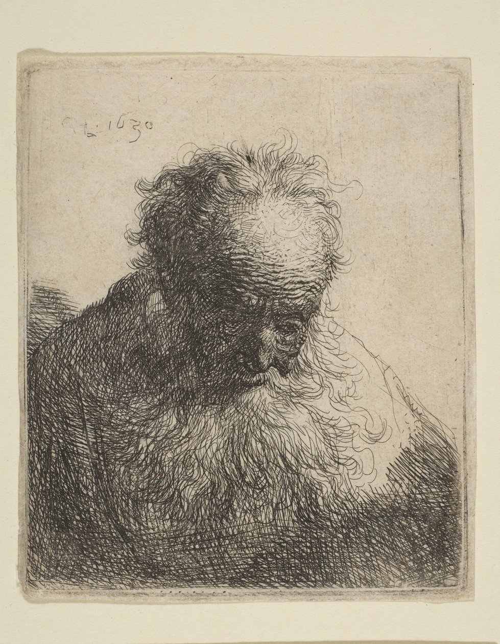 Popiersie starca z falującą brodą: głowa pochylona do przodu: lewe ramię nieosłonięte, 1630. autorstwa Rembrandt van Rijn