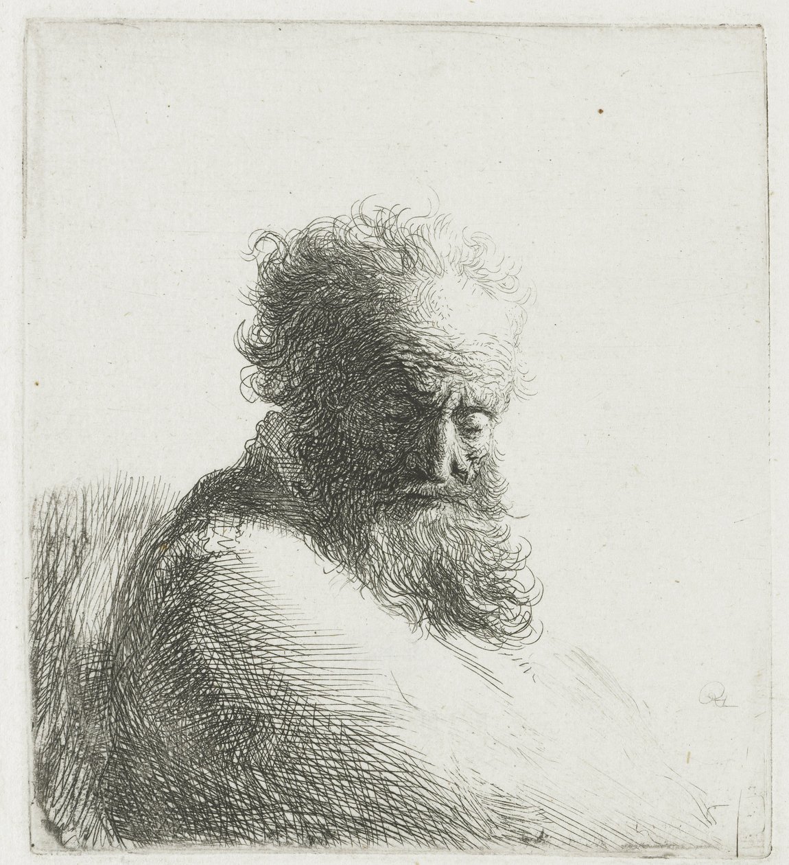Popiersie starego brodatego mężczyzny, patrzącego w dół, w trzech czwartych w prawo autorstwa Rembrandt van Rijn