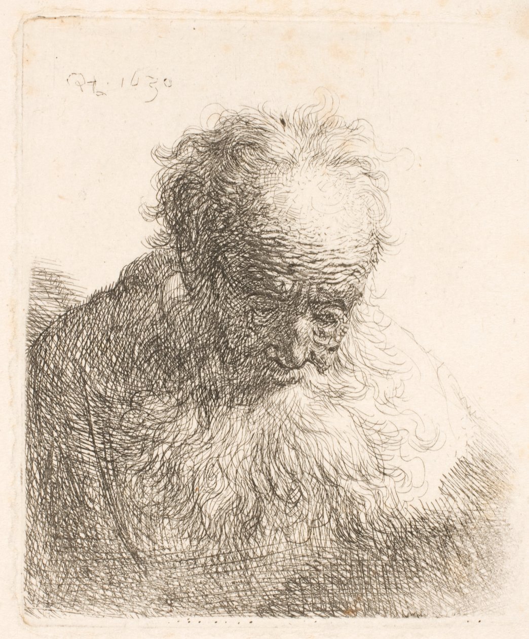 Popiersie starszego mężczyzny z długą brodą: głowa pochylona do przodu; lewe ramię nieocieniowane autorstwa Rembrandt van Rijn