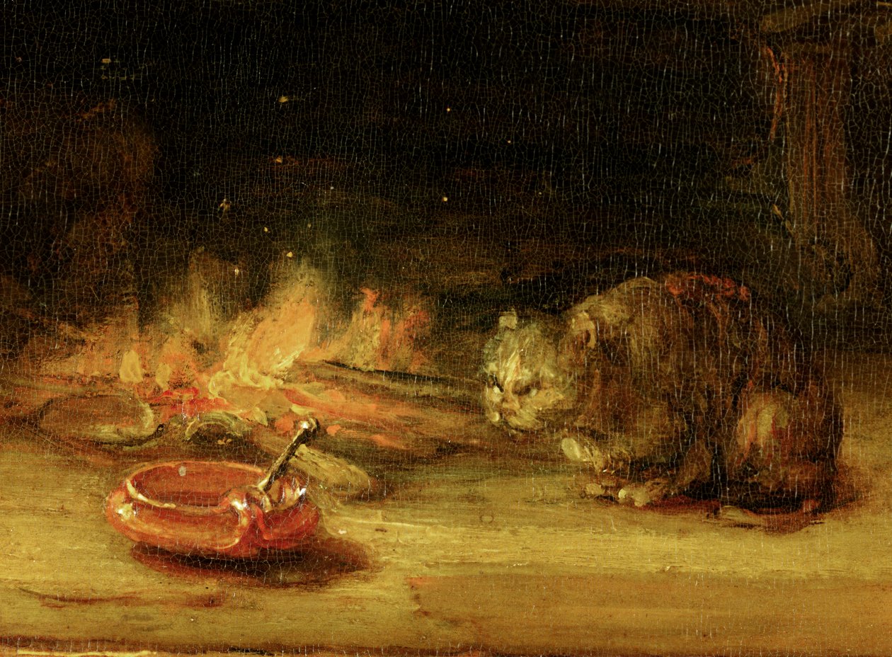 Kot, fragment Świętej Rodziny z Zasłoną, 1646 (zob. 244315) autorstwa Rembrandt van Rijn