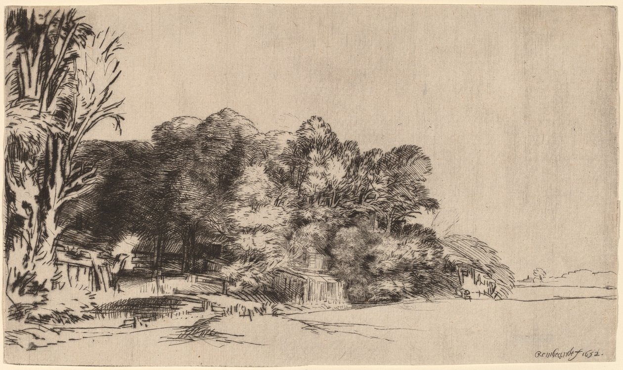 Kępka drzew z Vista autorstwa Rembrandt van Rijn