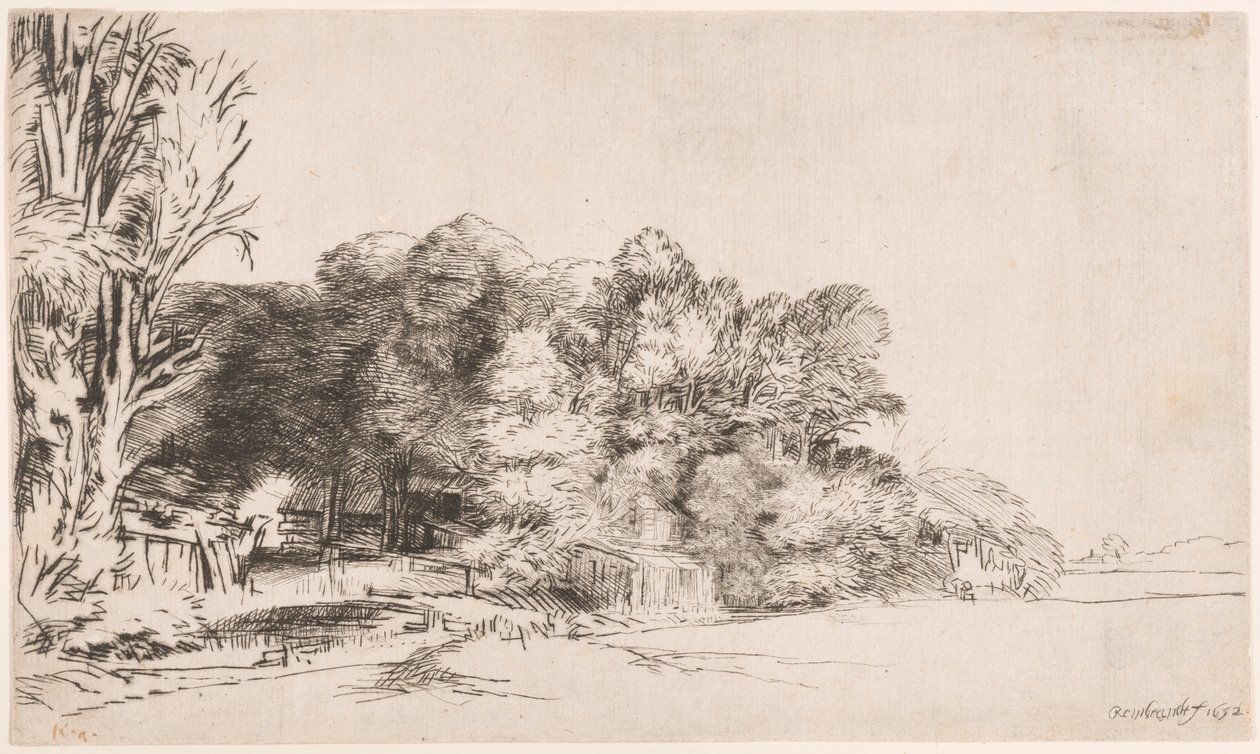 Kępka drzew z Vista autorstwa Rembrandt van Rijn