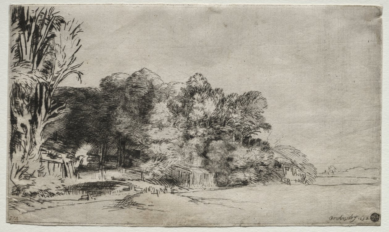 Kępka drzew z Vista autorstwa Rembrandt van Rijn