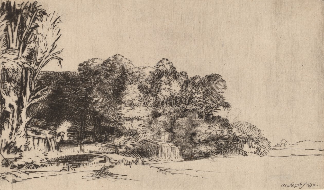 Kępka drzew z Vista, 1652. autorstwa Rembrandt van Rijn