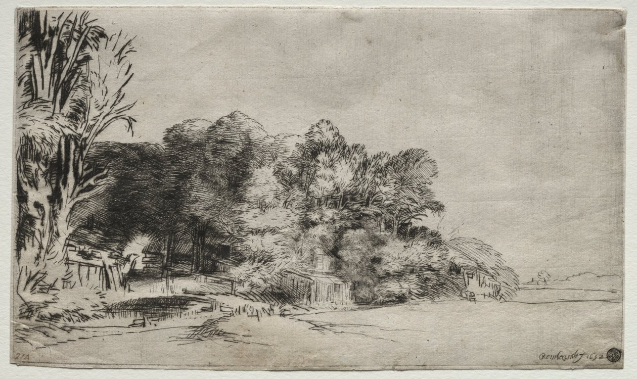 Kępka drzew z Vista, 1652. autorstwa Rembrandt van Rijn